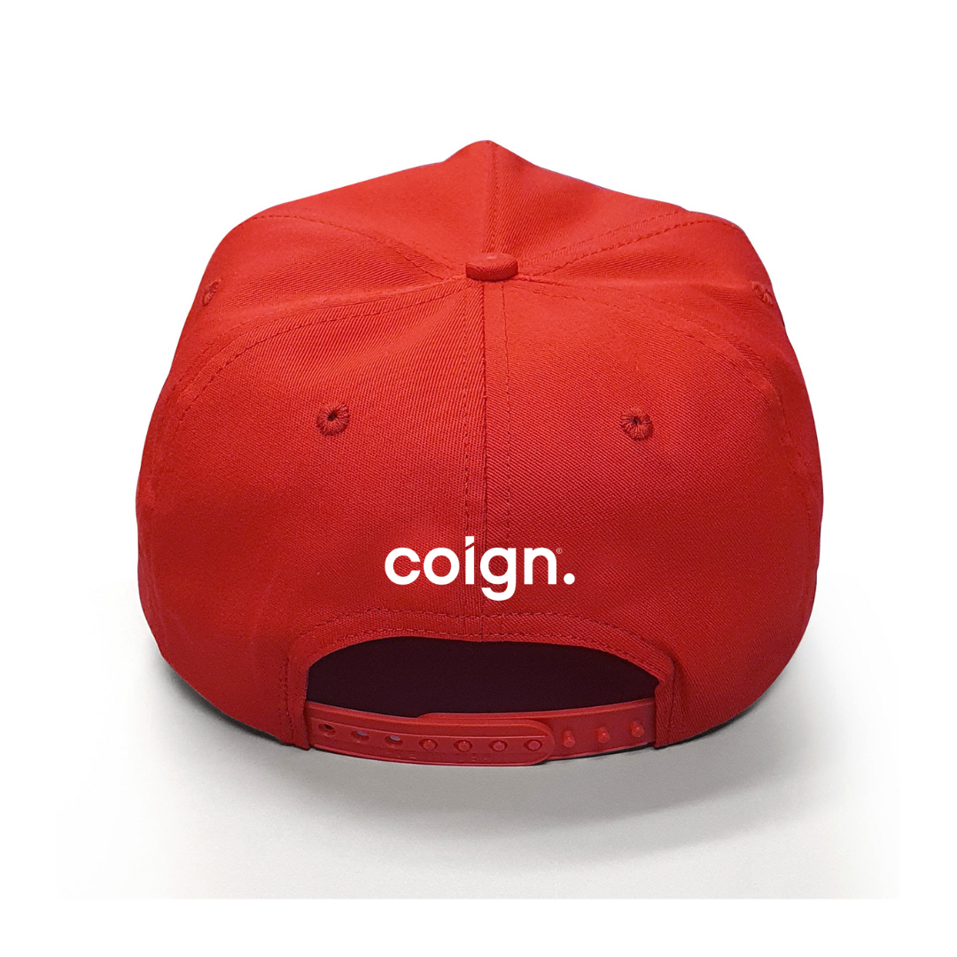 Get Woke Out of Your Wallet Hat